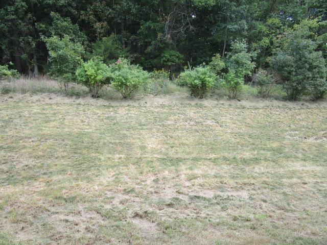 468 Mountain View Road Lexington, VA 24450 - Photo 18 of 29 Gallery Image 18