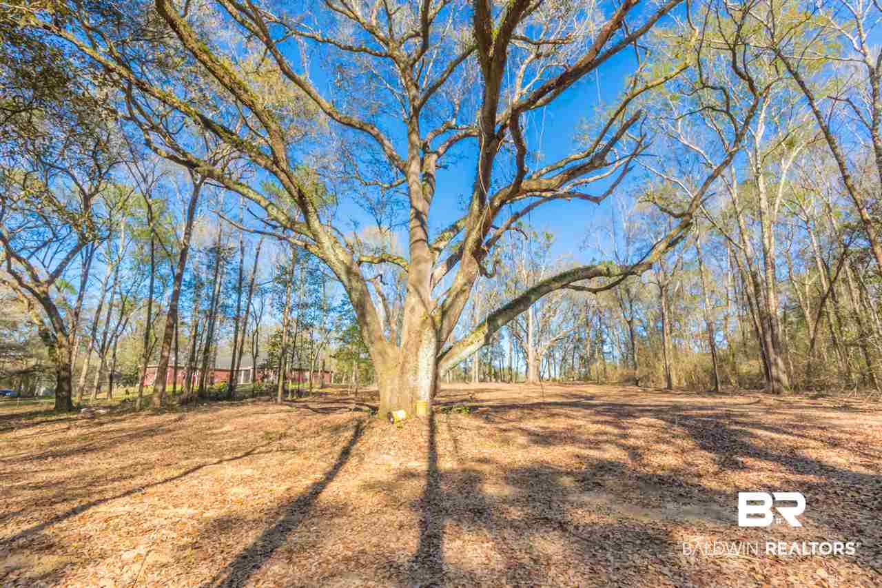 25923 Chene Trace Robertsdale, AL 36567 - Photo 6 of 9