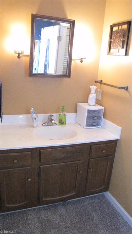 3963 Lewiston Road Summerfield, NC 27358 - Photo 13 of 22 Master Bath
