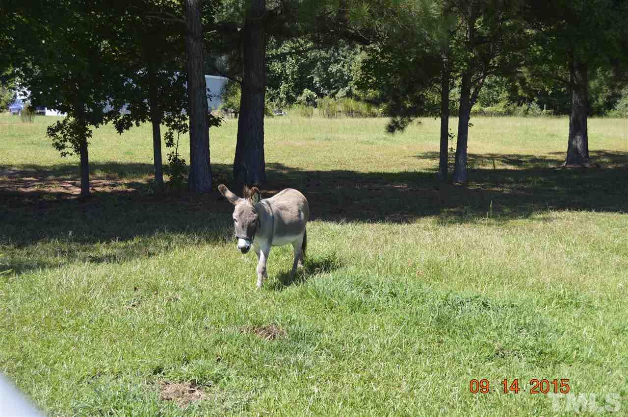 435 Hinnant Road Selma, NC 27576 - Photo 5 of 7 Gallery Image 5