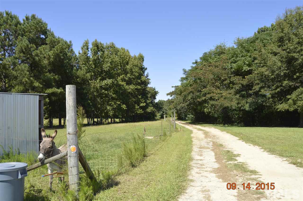 435 Hinnant Road Selma, NC 27576 - Photo 6 of 7 Gallery Image 6
