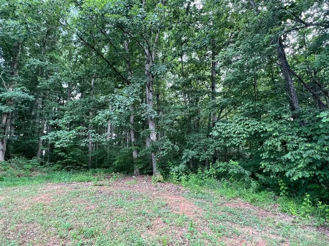 a view of backyard with green space