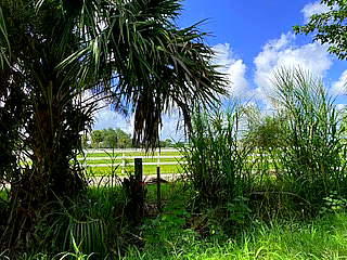 2950 South Brocksmith Road Fort Pierce, FL 34945 - Photo 44 of 45 Brocksmith Road30