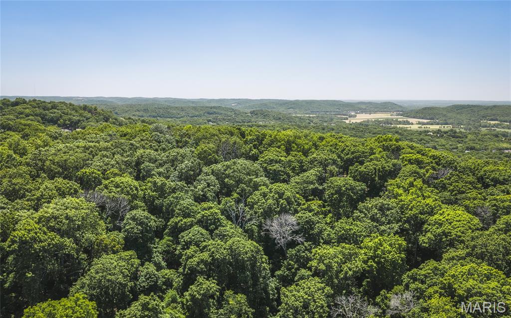 3000 Byrnes Mill Road High Ridge, MO 63049 - Photo 13 of 19