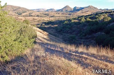 Lot D Lot D Stevens Ranch Road Patagonia, AZ 85624 - Photo 2 of 26