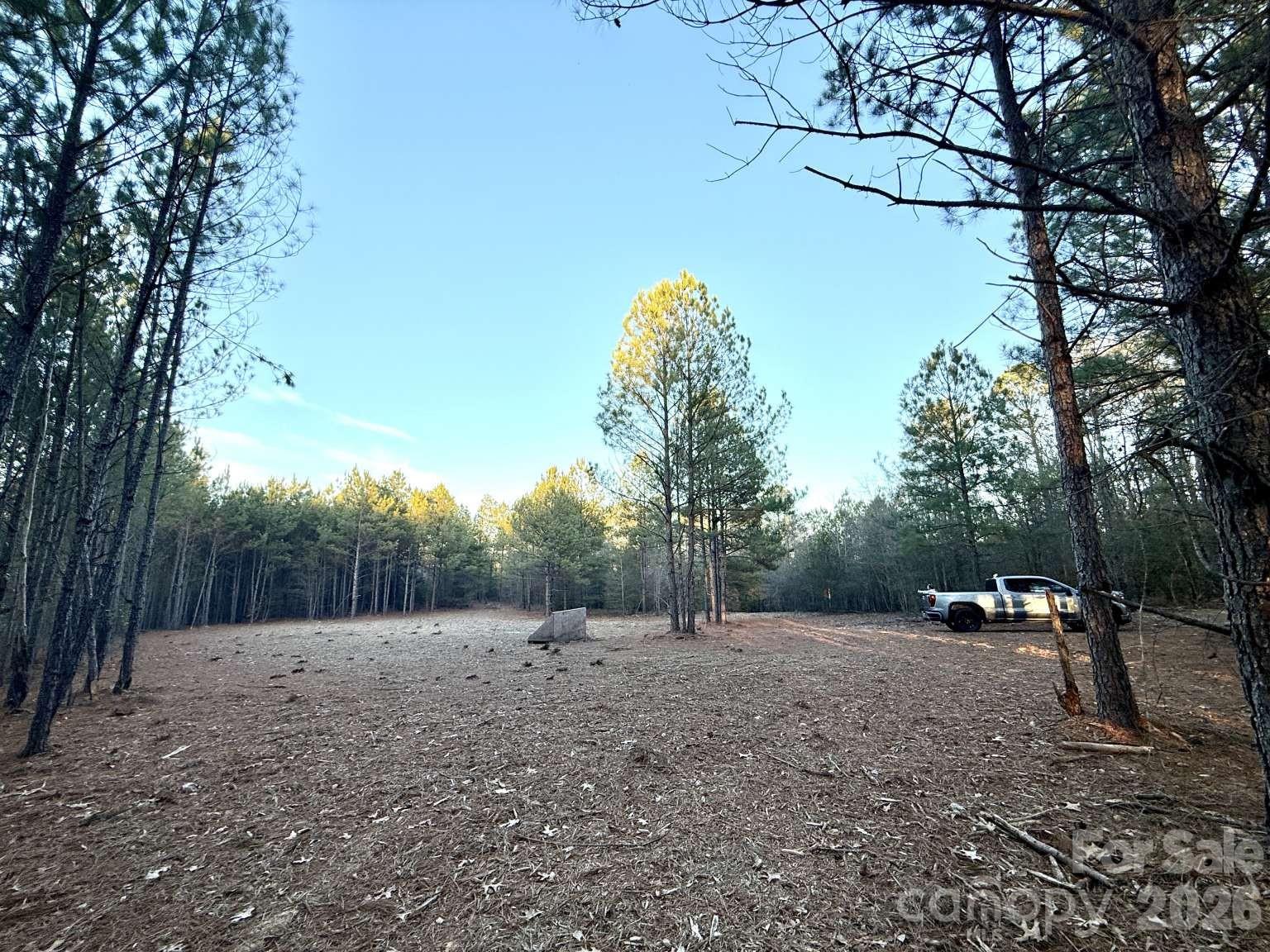 0 Steen Road Mount Croghan, SC 29727 - Photo 10 of 19 a view of outdoor space with trees
