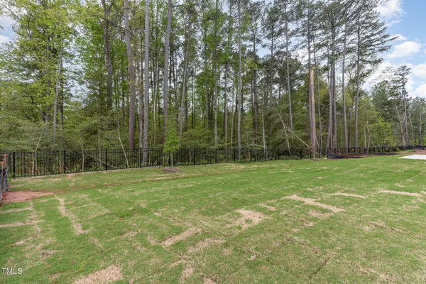 a view of a field with trees in the background