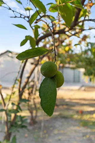 $299,900 | 221 West San Joaquin Street, Fresno, CA 93706