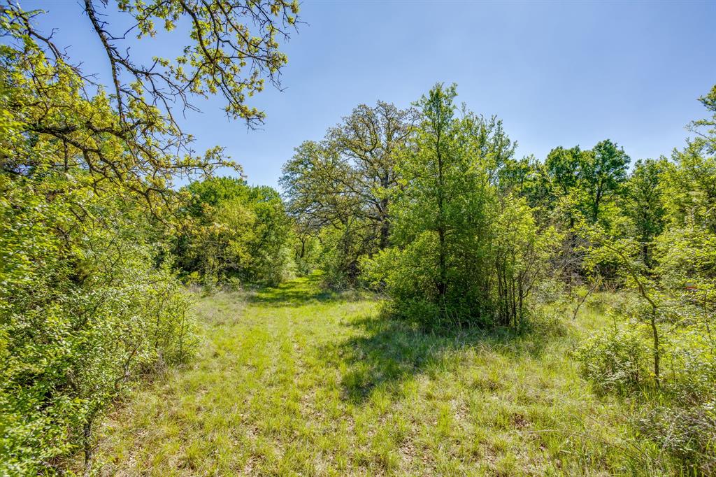 Tbd Teague Road Jacksboro, TX 76458 - Photo 33 of 33