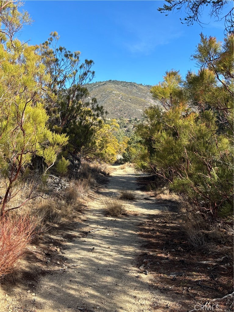 0 Upper Valley Road Anza, CA 92539 - Photo 13 of 39 a view of a houses with mountain view