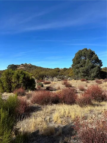 a view of a mountain in the distance