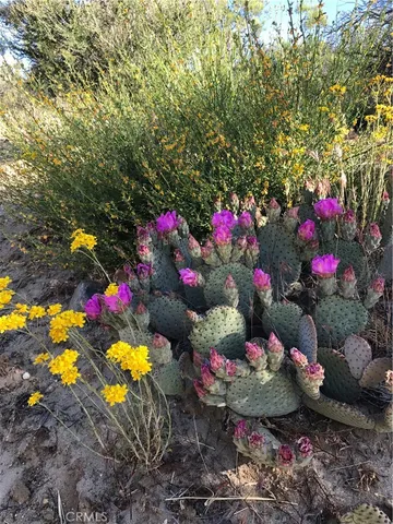 $1,875,000 | 0 Upper Valley Road, Anza, CA 92539