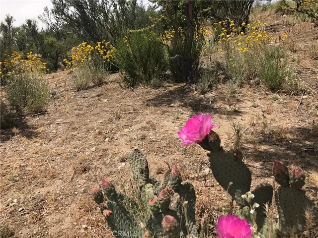 $1,875,000 | 0 Upper Valley Road, Anza, CA 92539