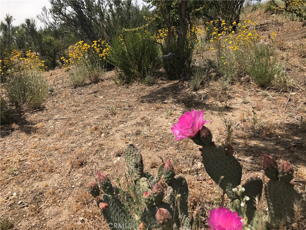 0 Upper Valley Road Anza, CA 92539 - Photo 31 of 39 a view of water with small trees