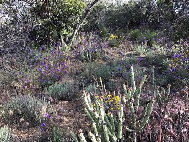 $1,875,000 | 0 Upper Valley Road, Anza, CA 92539