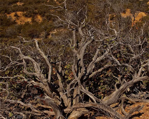 $1,875,000 | 0 Upper Valley Road, Anza, CA 92539