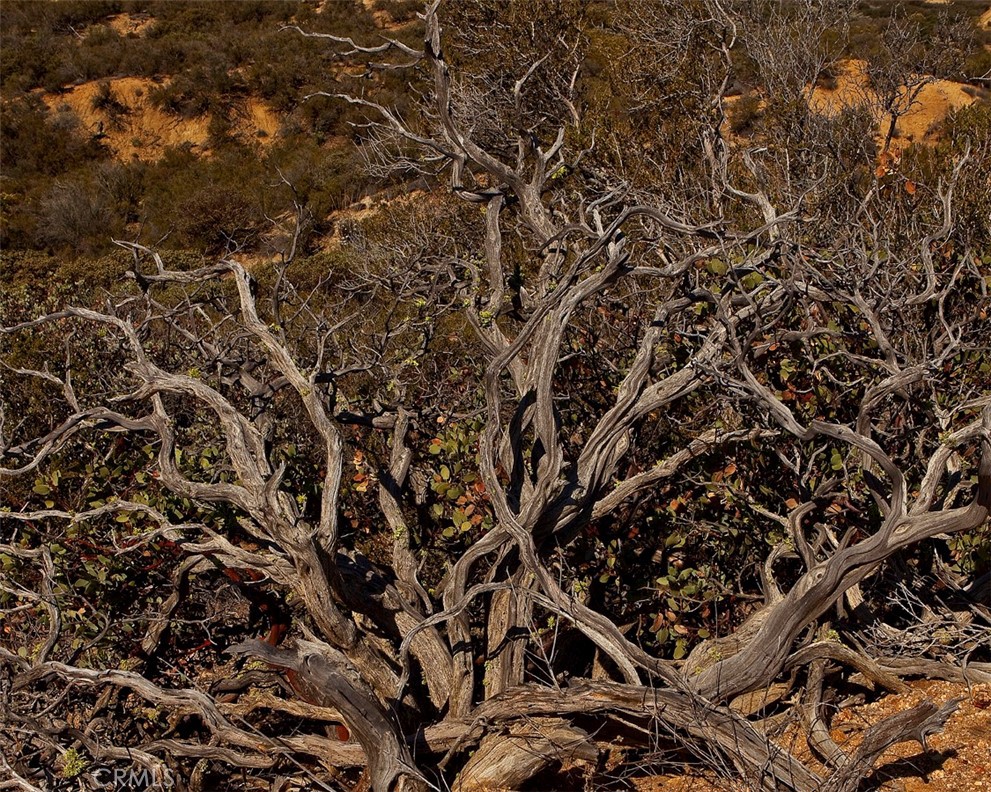 0 Upper Valley Road Anza, CA 92539 - Photo 38 of 39