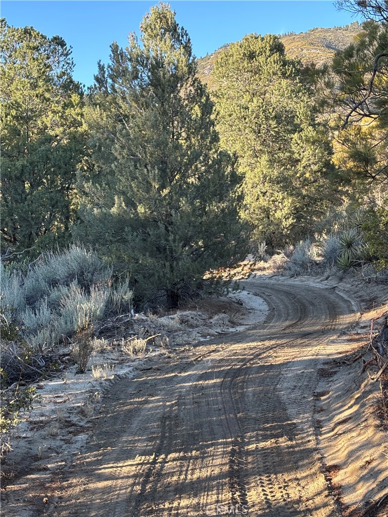 0 Upper Valley Road Anza, CA 92539 - Photo 4 of 39 a view of a yard with a tree