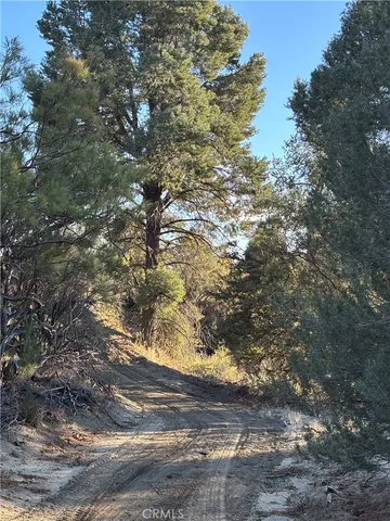 a view of a yard with an trees
