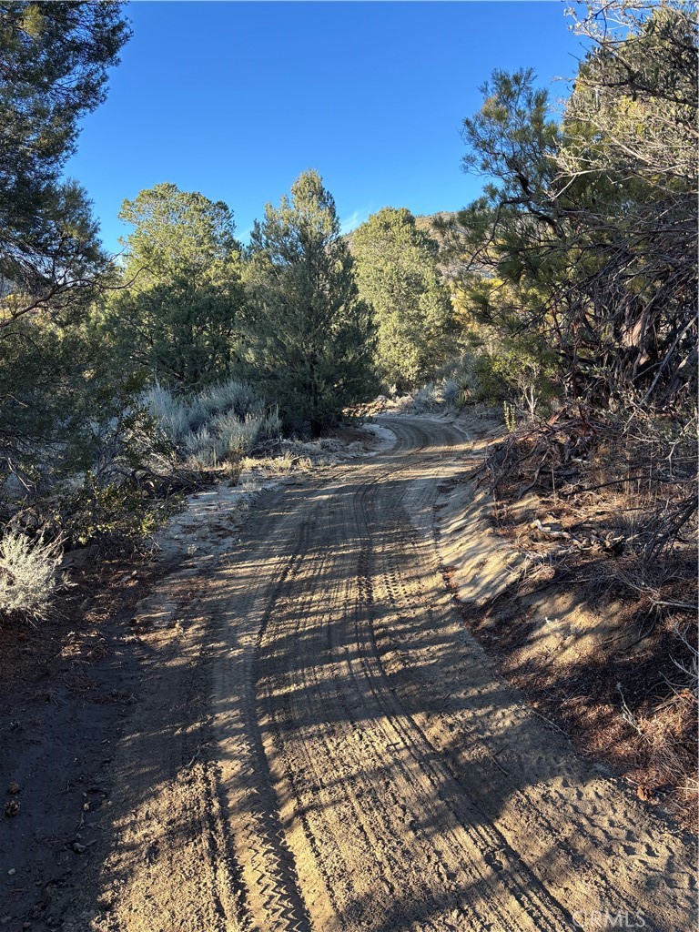 0 Upper Valley Road Anza, CA 92539 - Photo 7 of 39 a view of a yard with an trees