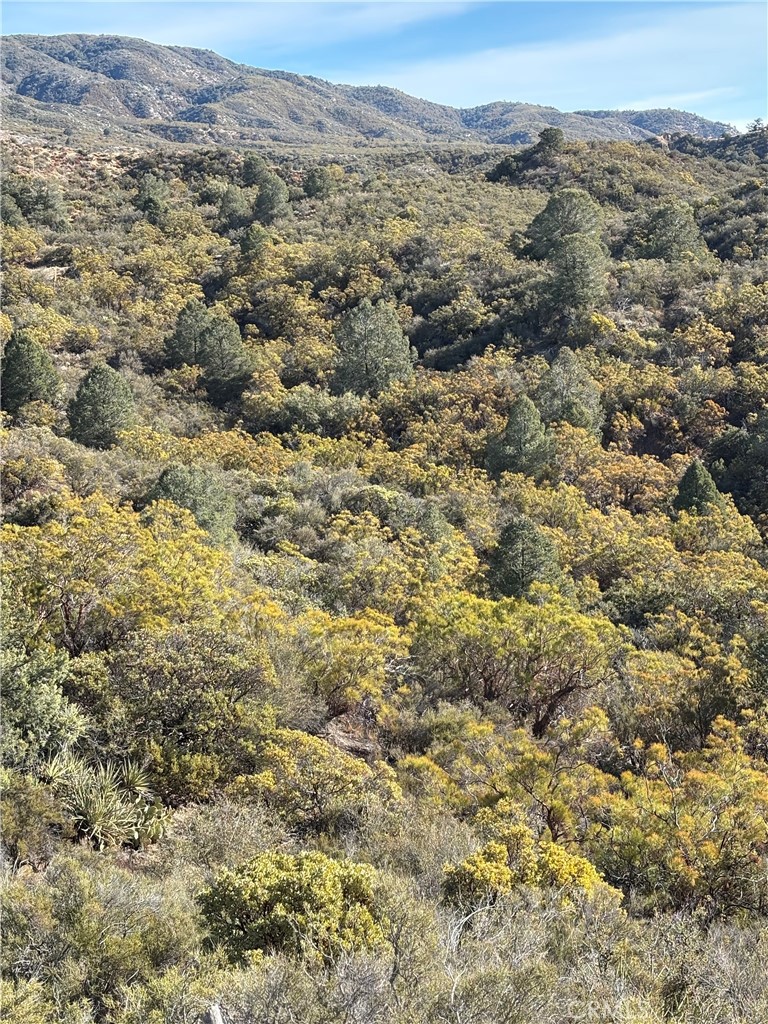 0 Upper Valley Road Anza, CA 92539 - Photo 9 of 39 an aerial view of forest