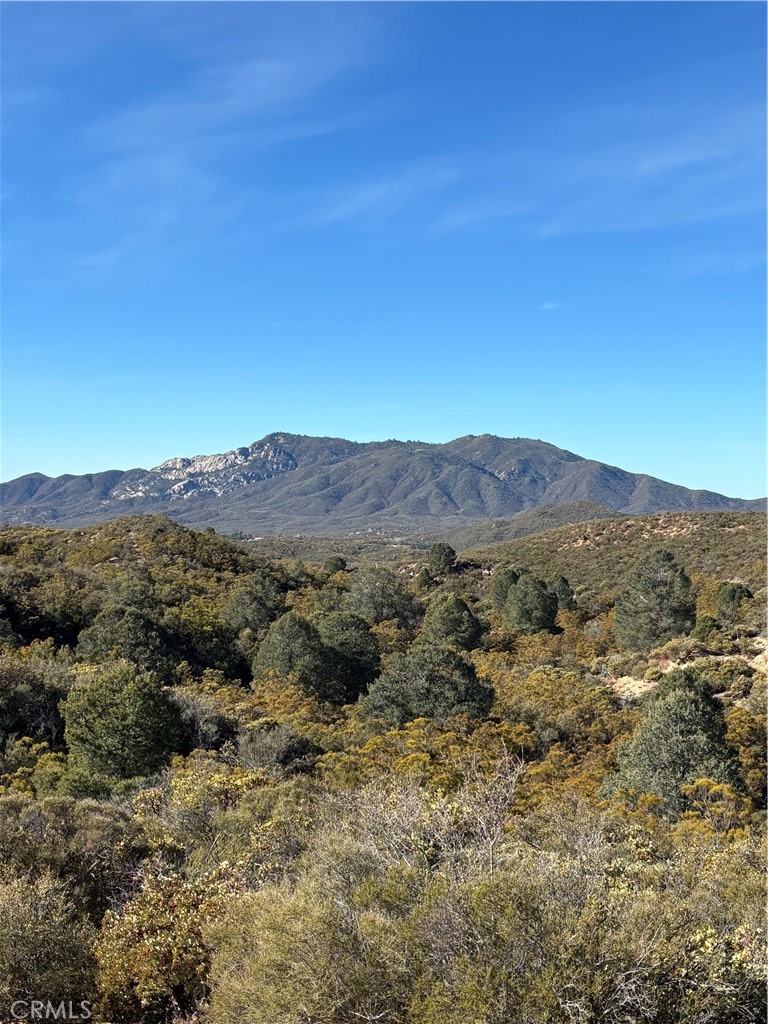 0 Upper Valley Road Anza, CA 92539 - Photo 10 of 39 a view of a forest with mountains in the background