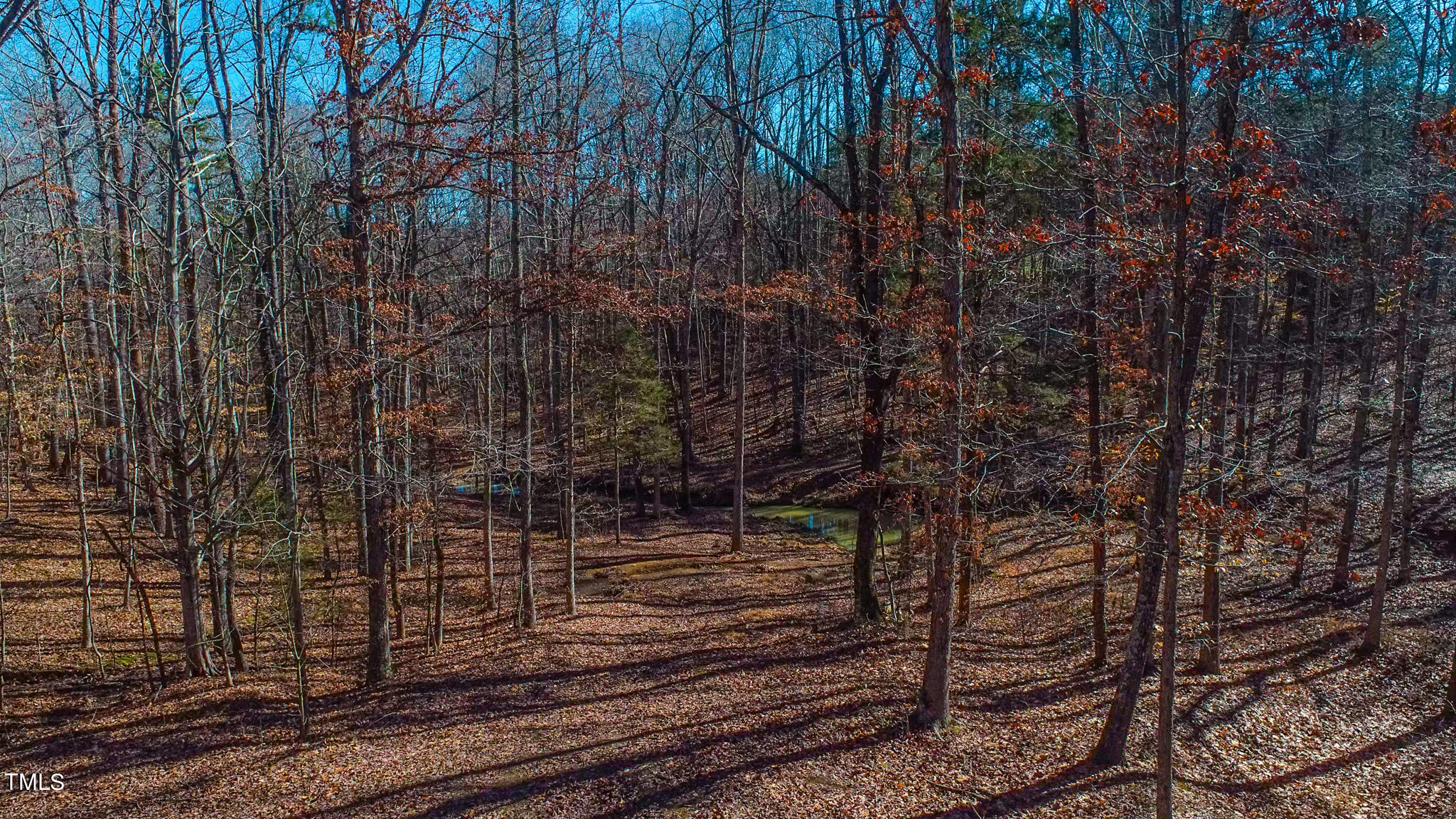 1704 Maurice Daniels Road Roxboro, NC 27574 - Photo 58 of 74 AFE1E1A7FE927F5CF066945D813ADD36