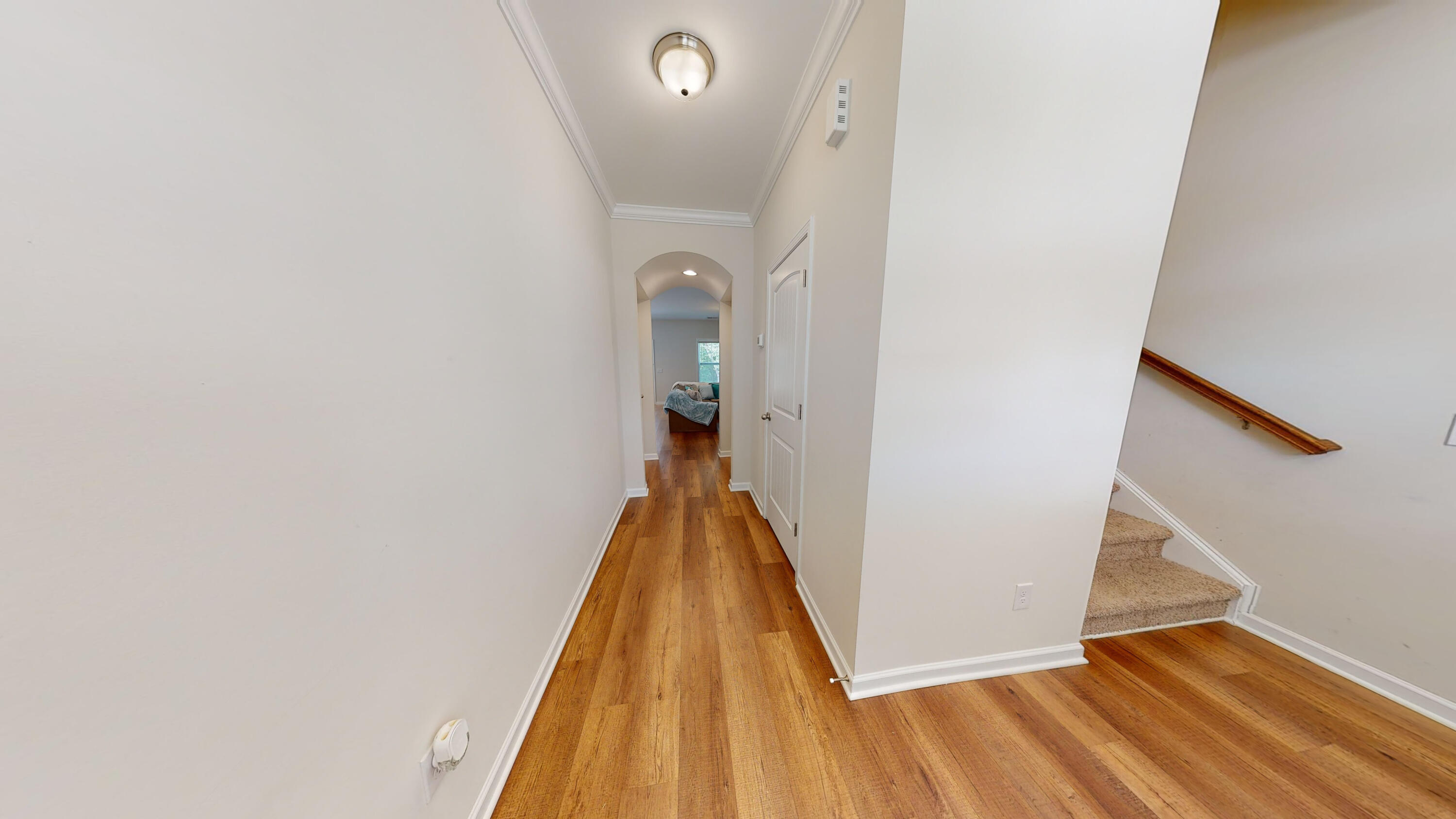 79 Apple Tree Ct. Columbia, SC 29223 - Photo 7 of 44 79-Apple-Tree-Court-10122022_202616