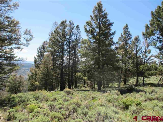 308 Cinammon Trail Powderhorn, CO 81243 - Photo 3 of 5 a fire hydrant in the middle of a field