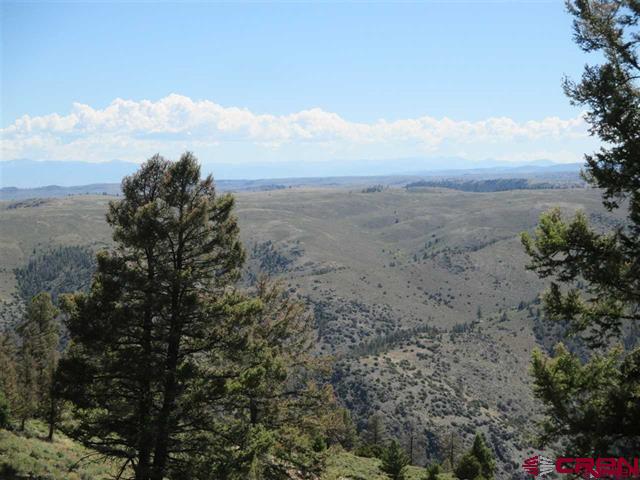 308 Cinammon Trail Powderhorn, CO 81243 - Photo 4 of 5 a view of a large trees with lots of trees