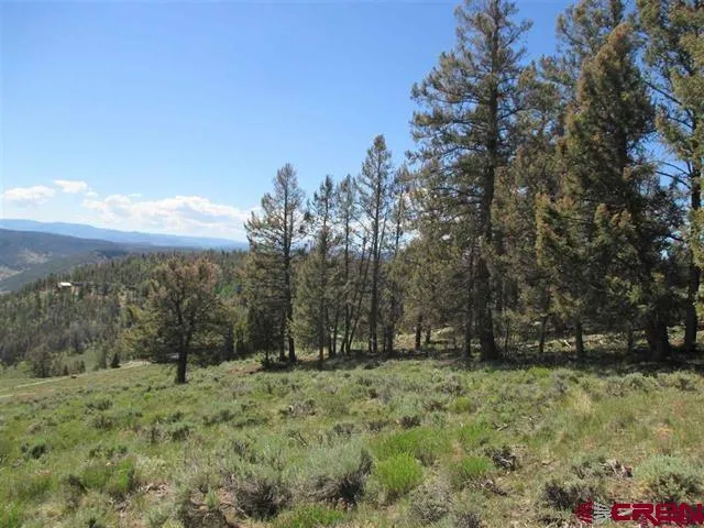 $49,500 | 308 Cinammon Trail, Powderhorn, CO 81243