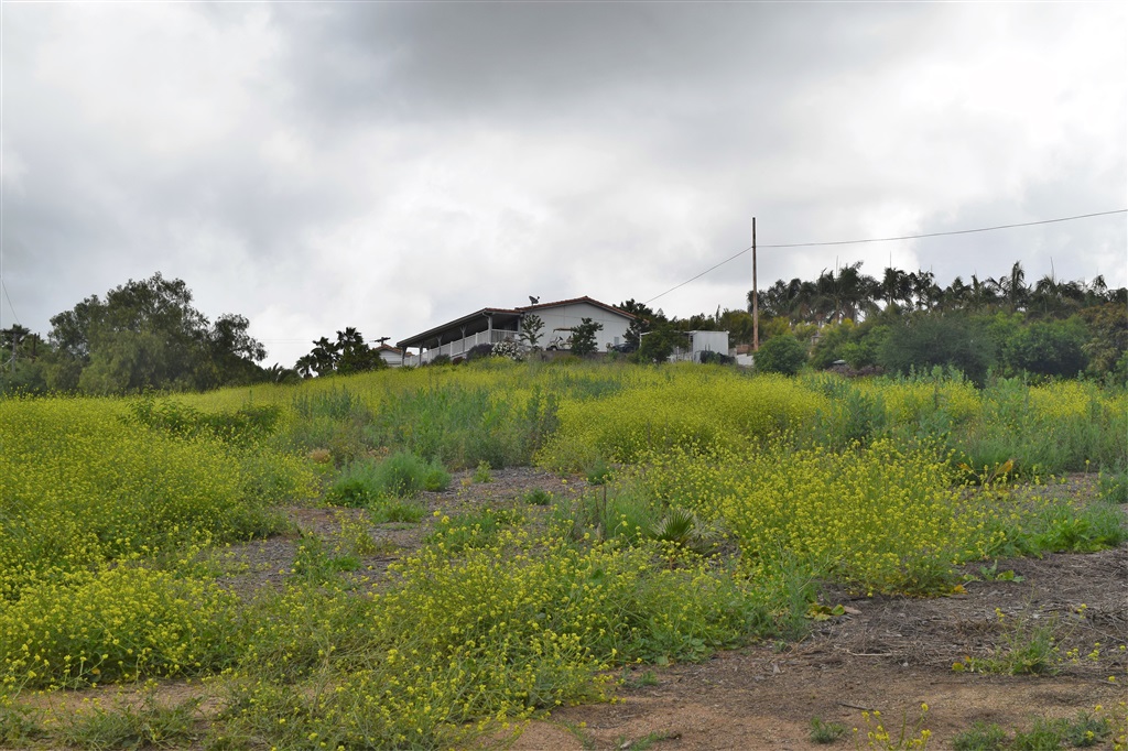 1010 Ranger Road Fallbrook, CA 92028 - Photo 8 of 10