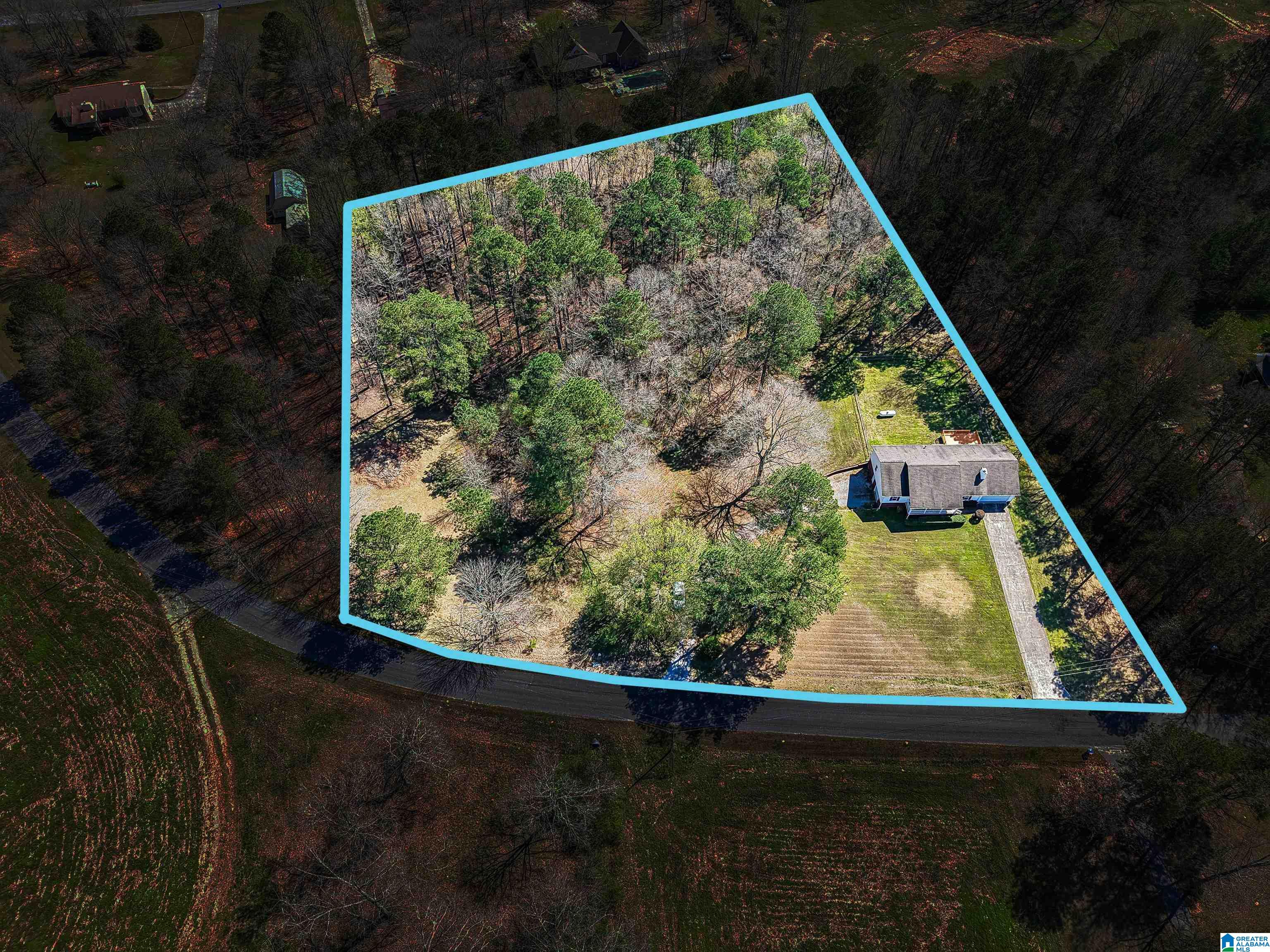 755 Beaver Ridge Drive Ashville, AL 35953 - Photo 38 of 39