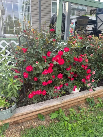 $279,900 | 117 Old Kinser Circle Southeast, Cleveland, TN 37323