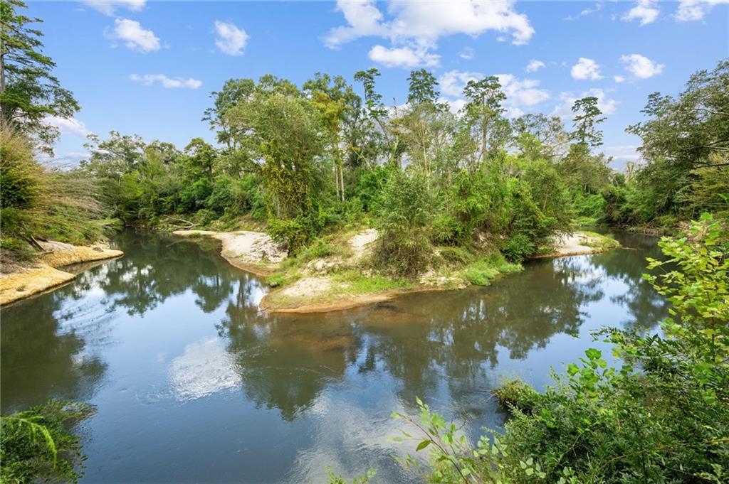 36621 Albin Road Independence, LA 70443 - Photo 15 of 21