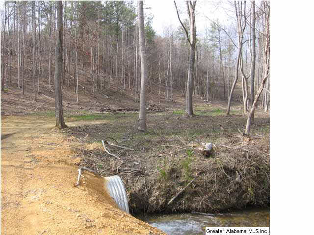 720 Sportsman Lake Road, Unit 4 2 AC Springville, AL 35146 - Photo 10 of 14