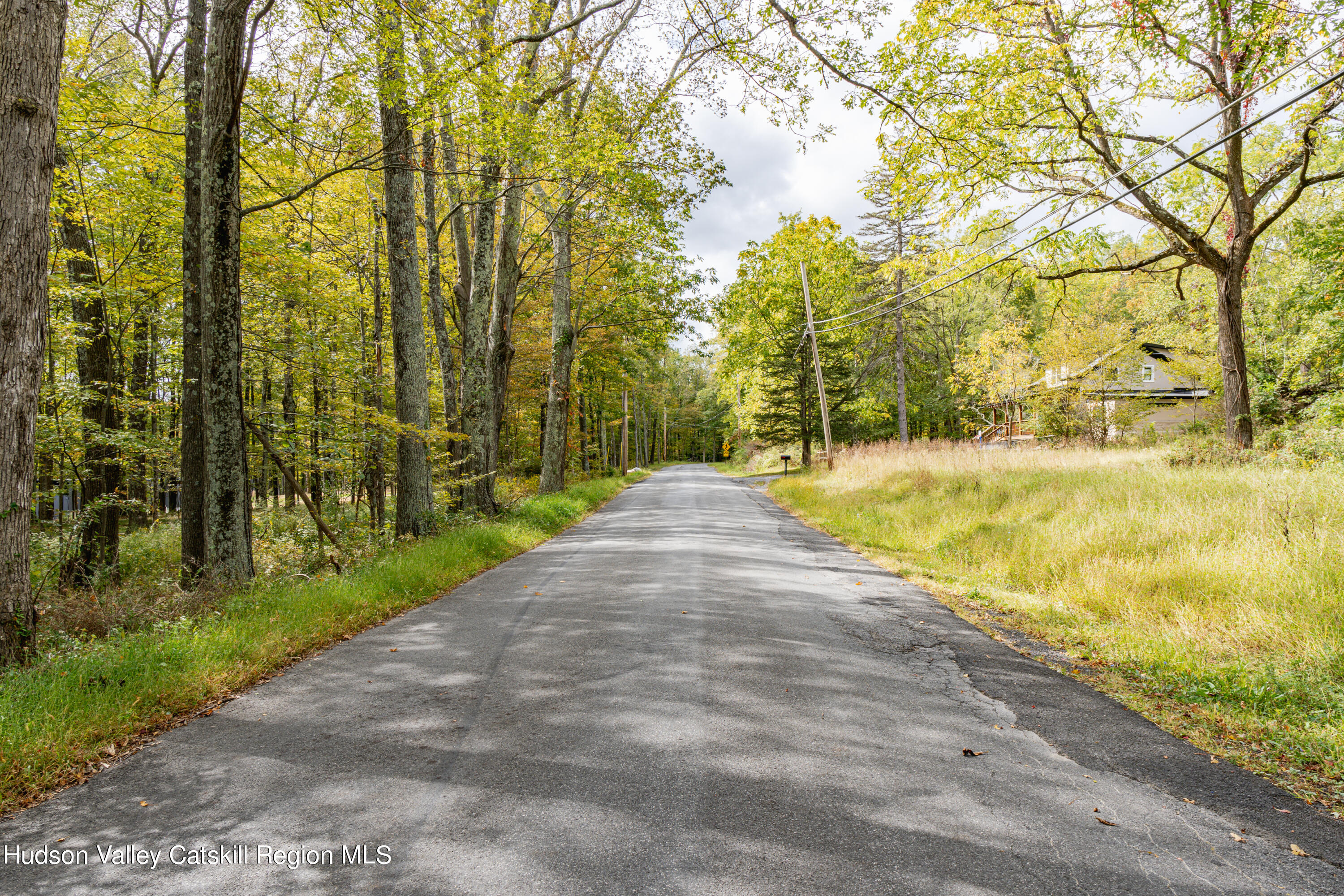 598 South Mountain Road Gardiner, NY 12525 - Photo 11 of 12 a view of yard with trees
