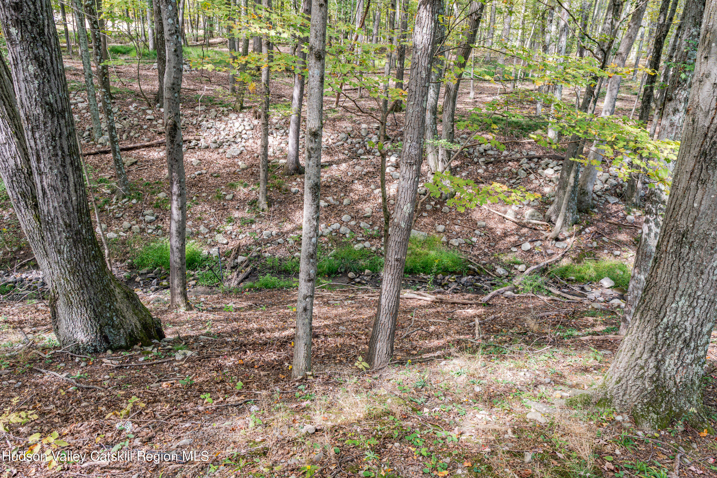 598 South Mountain Road Gardiner, NY 12525 - Photo 4 of 12 a view of a yard with plants and trees