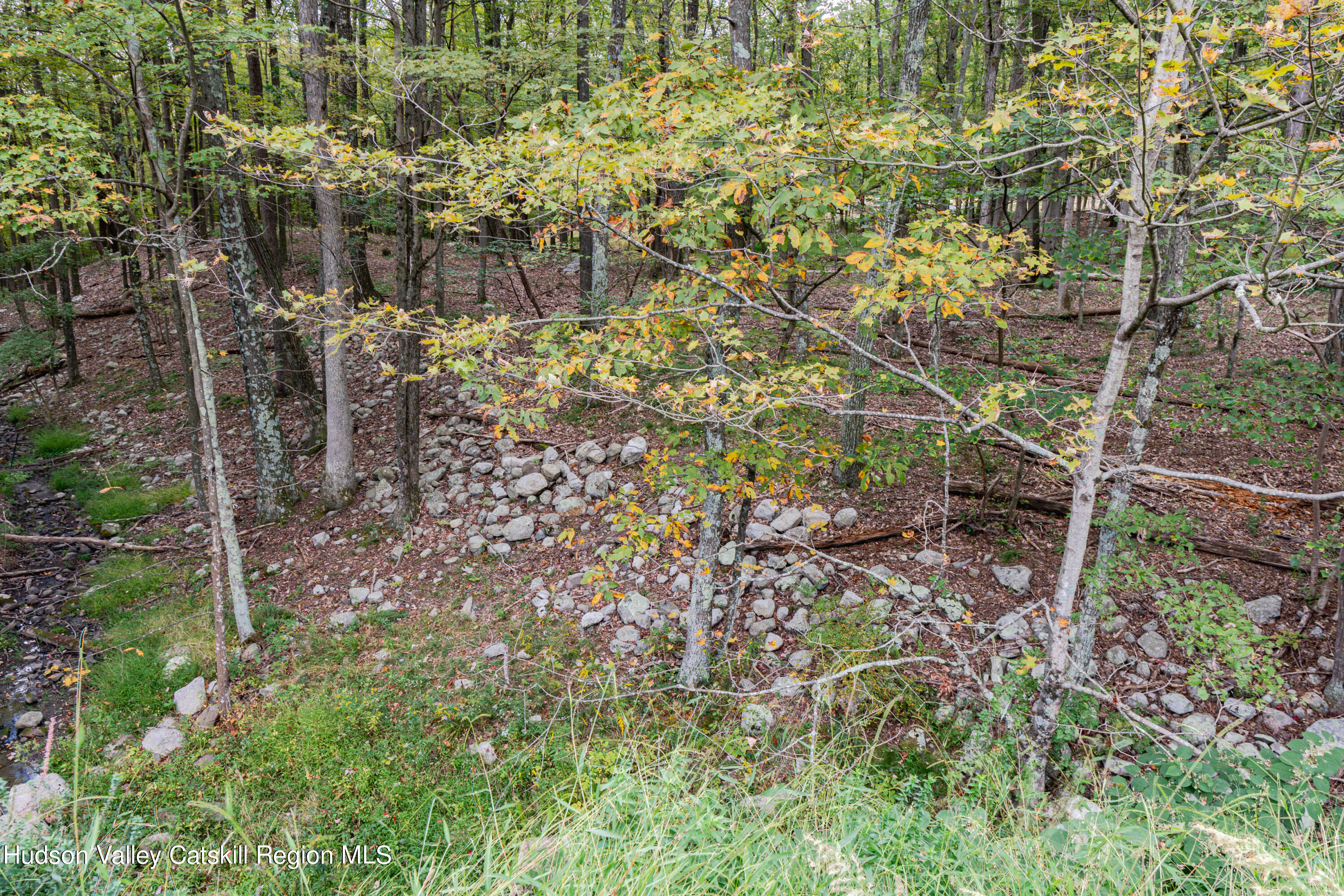 598 South Mountain Road Gardiner, NY 12525 - Photo 5 of 12