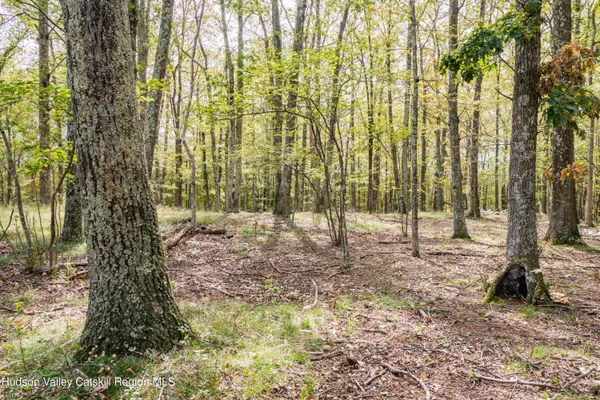a backyard of a house with lots of trees and wooden fence