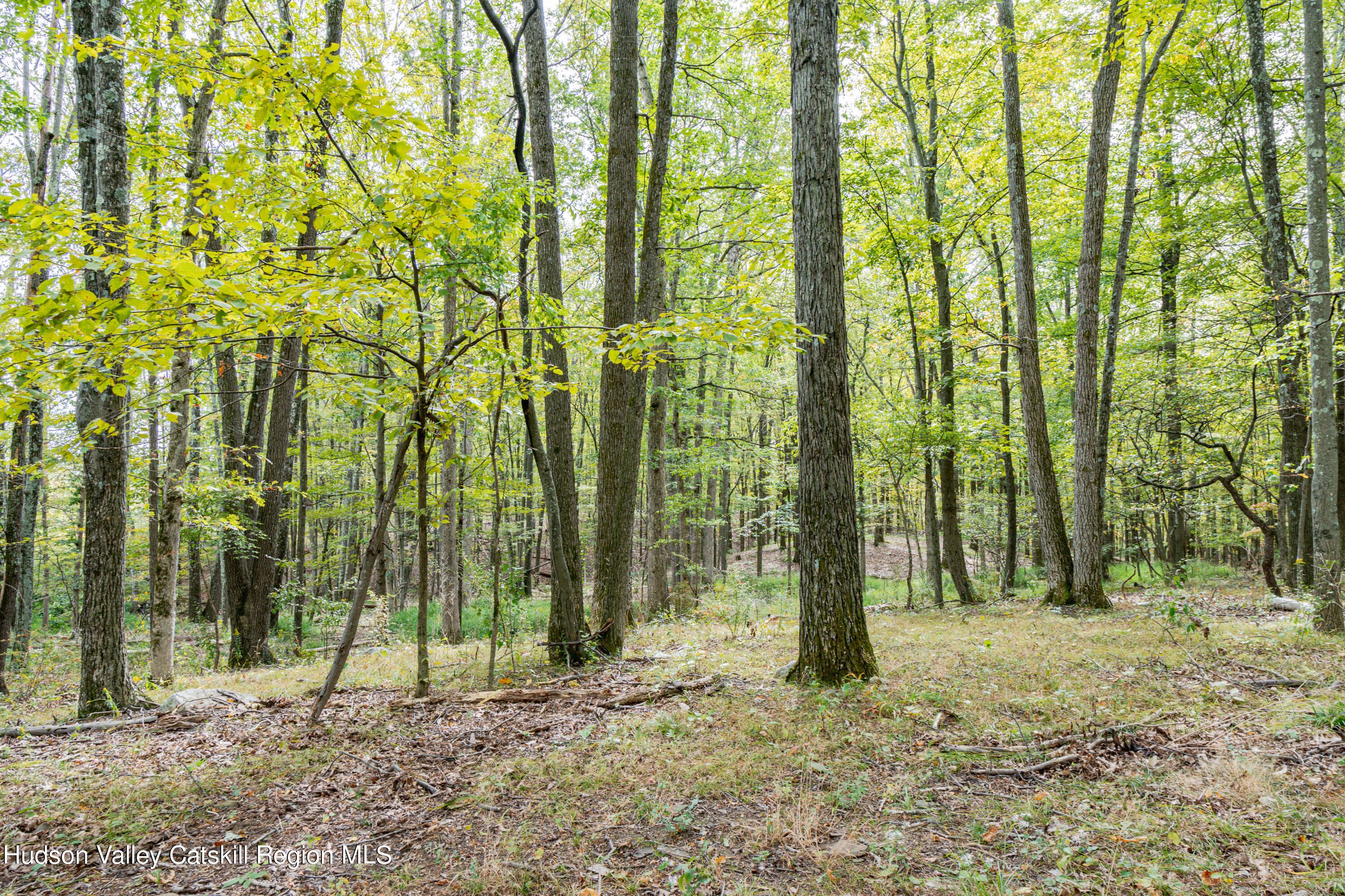 598 South Mountain Road Gardiner, NY 12525 - Photo 7 of 12 a backyard of a house with lots of trees and wooden fence