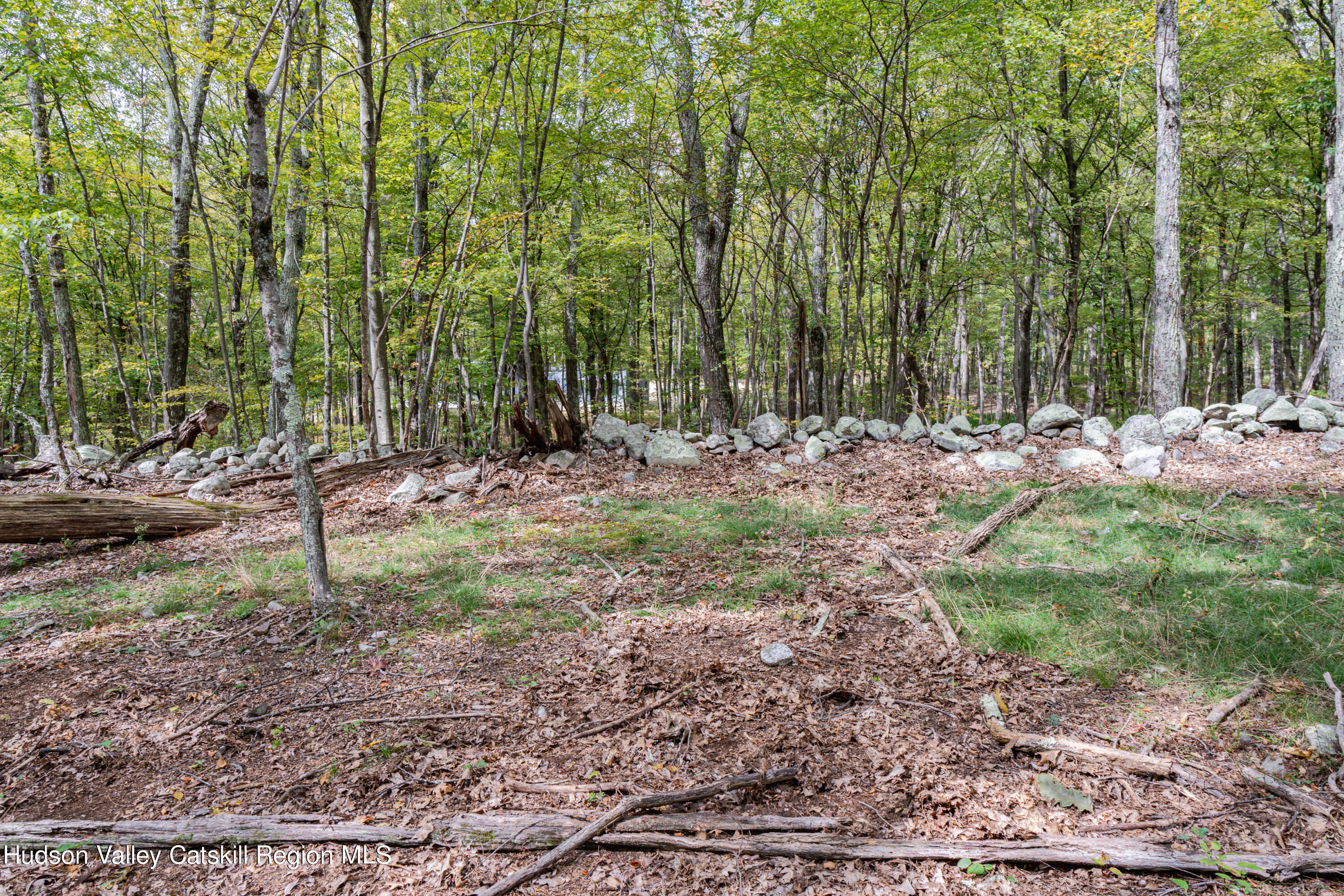 598 South Mountain Road Gardiner, NY 12525 - Photo 9 of 12 a view of outdoor space with trees