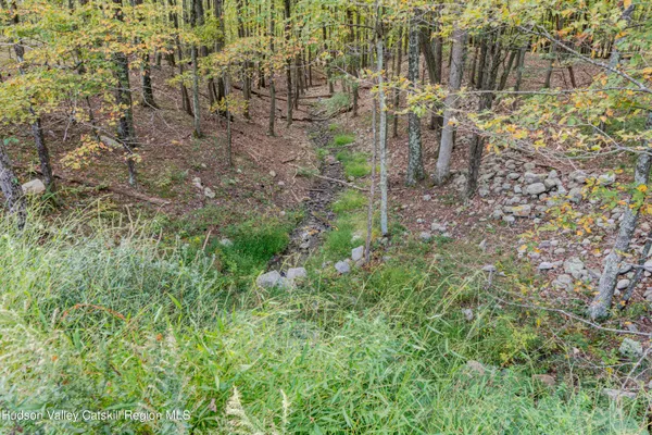 a view of yard with trees
