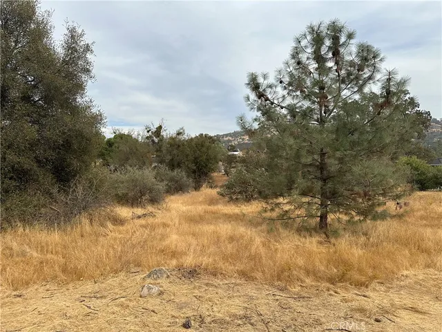 $30,000 | 880 Jim Bowie Court, Coarsegold, CA 93614