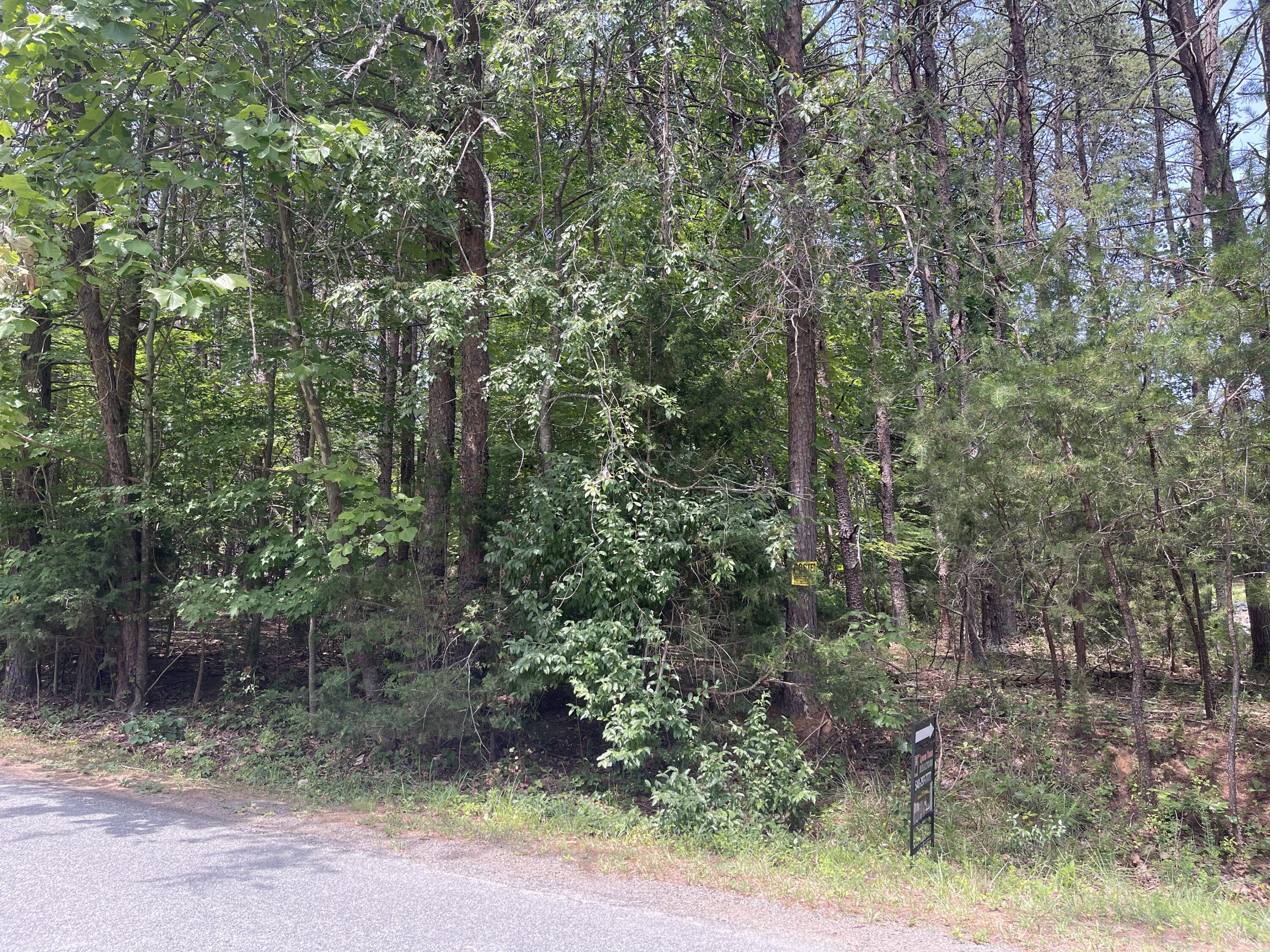 a view of a yard with trees