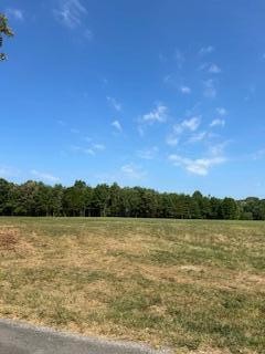 2 Quarry Road Benton, TN 37307 - Photo 2 of 13 Gallery Image 2