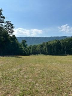 2 Quarry Road Benton, TN 37307 - Photo 5 of 13 Gallery Image 5