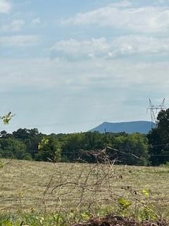 2 Quarry Road Benton, TN 37307 - Photo 6 of 13 Gallery Image 6