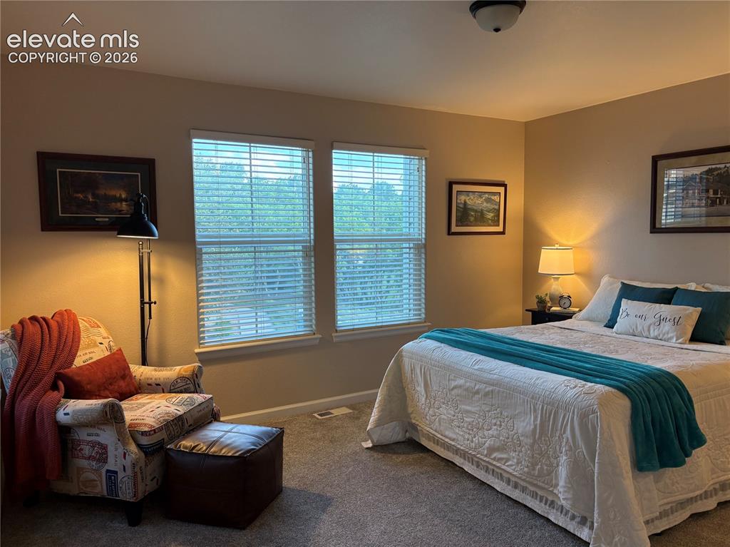 3931 Diamond Ridge View Colorado Springs, CO 80918 - Photo 35 of 47 Gallery Image 35