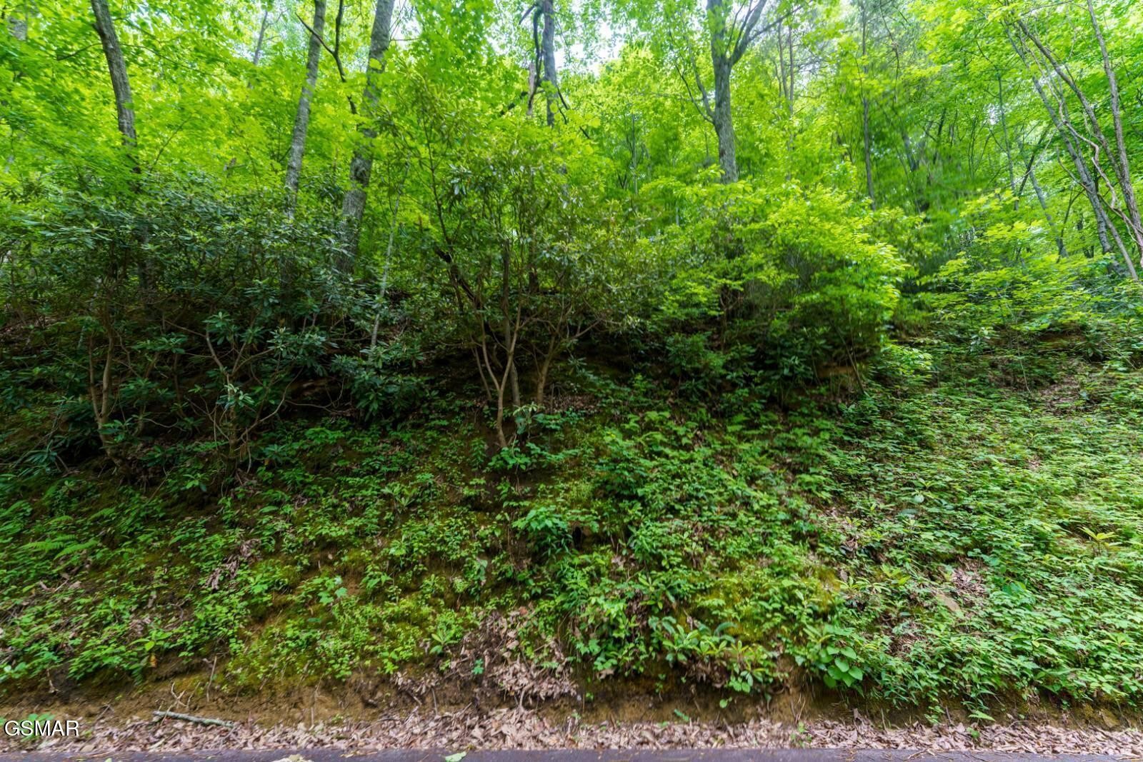 11 Zurich Road Gatlinburg, TN 37738 - Photo 1 of 14